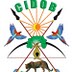 cidob